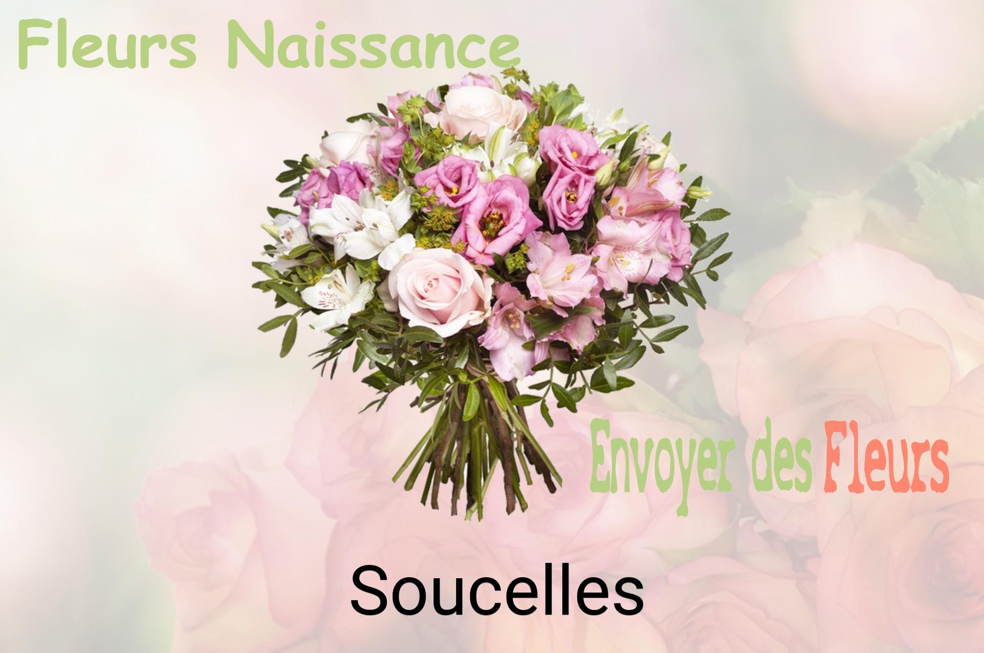 Bouquet de fleurs de naissance livré à Soucelles